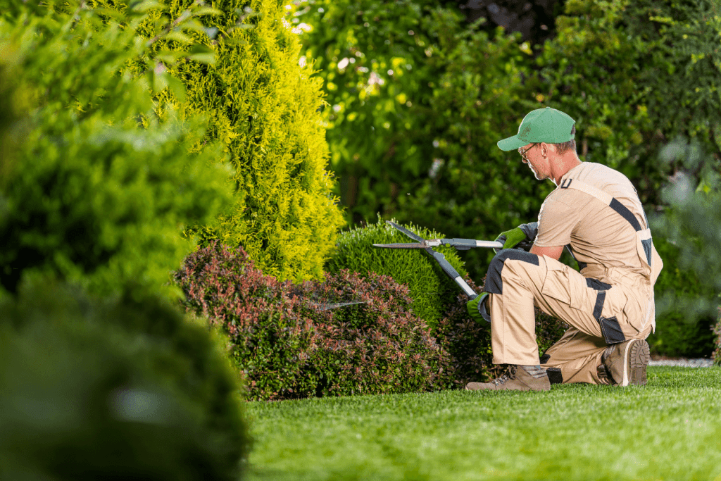 Außenanlagen und Gartenpflege in Karlsruhe